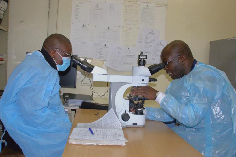 Lecturer and student making observations using the teaching microscope 
